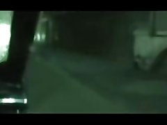 장미 짜증 bonks 필리핀 및 제비
