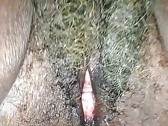 아 쉴라!  젖은 회색 고양이와 62 세 흑인 할머니