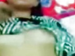 말레이어-busty 수줍음 수줍은 고양이